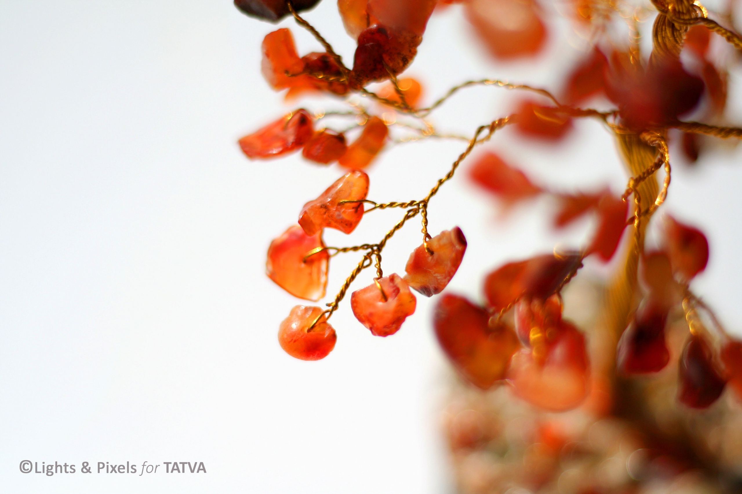Red Carnelian Tree of Life – Crystal Gemstone Tree – Healing Energy Decor – Root Chakra Tree – Spiritual Gift – Feng Shui Home Decor